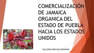 COMERCIALIZACIÓN
DE JAMAICA
ORGANICA DEL
ESTADO DE PUEBLA
HACIA LOS ESTADOS
UNIDOS
GUILLERMO MERCADO HERNÁNDEZ
 
