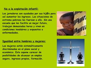 No a la explotación infantil: Los jornaleros son ayudados por sus  [email_address]   para así aumentar los ingresos. Las situaciones de extrema pobreza les fuerzan a ello. Sin una escuela que les facilite un mejor futuro, trabajan demasiadas horas y viven en condiciones insalubres y expuestos a enfermedades. Igualdad entre hombres y mujeres: Las mujeres están sistemáticamente discriminadas en el plano social y económico. Esto supone carecer de posibilidades de alcanzar un empleo seguro, ingresos propios, formación.   