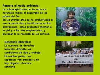 Respeto al medio ambiente: La sobreexplotación de los recursos naturales impide el desarrollo de los países del Sur En los útlimos años se ha intensificado el uso de pesticidas y fertilizantes en las plantaciones. estos productos afectan a la piel y a las vías respiratorias, y provocan la la recesión de los cultivos.  Derechos laborales: La ausencia de derechos laborales dificulta las condiciones de vida y trabajo. En muchos países, los capataces van armados y no hay ninguna cobertura sanitaria 