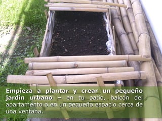 Empieza a plantar y crear un pequeño
jardín urbano – en tu patio, balcón del
apartamento o en un pequeño espacio cerca de
una ventana.
 