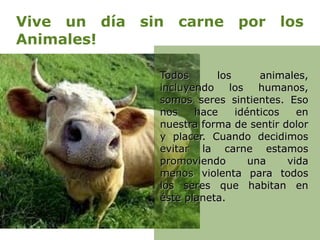 Vive un día sin carne por los
Animales!

              Todos      los      animales,
              incluyendo    los   humanos,
              somos seres sintientes. Eso
              nos    hace    idénticos   en
              nuestra forma de sentir dolor
              y placer. Cuando decidimos
              evitar la carne estamos
              promoviendo       una    vida
              menos violenta para todos
              los seres que habitan en
              éste planeta.
 