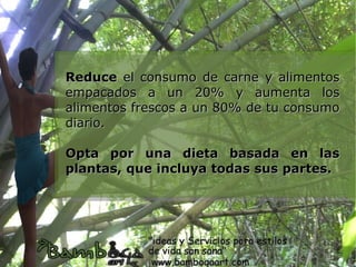 Reduce el consumo de carne y alimentos
empacados a un 20% y aumenta los
alimentos frescos a un 80% de tu consumo
diario.

Opta por una dieta basada en las
plantas, que incluya todas sus partes.
 