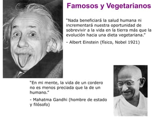 Famosos y Vegetarianos
                 “Nada beneficiará la salud humana ni
                 incrementará nuestra oportunidad de
                 sobrevivir a la vida en la tierra más que la
                 evolución hacia una dieta vegetariana.”
                 - Albert Einstein (físico, Nobel 1921)




“En mi mente, la vida de un cordero
no es menos preciada que la de un
humano.”
- Mahatma Gandhi (hombre de estado
y filósofo)
 