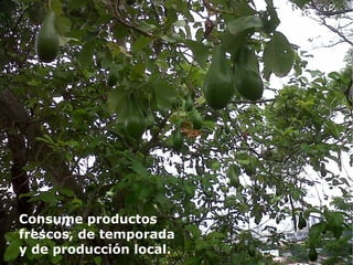 Consume productos
frescos, de temporada
y de producción local.
 