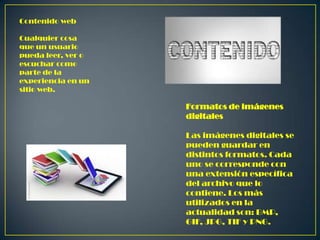 Contenido web
Cualquier cosa
que un usuario
pueda leer, ver o
escuchar como
parte de la
experiencia en un
sitio web.

Formatos de imágenes
digitales

Las imágenes digitales se
pueden guardar en
distintos formatos. Cada
uno se corresponde con
una extensión específica
del archivo que lo
contiene. Los más
utilizados en la
actualidad son: BMP,
GIF, JPG, TIF y PNG.

 
