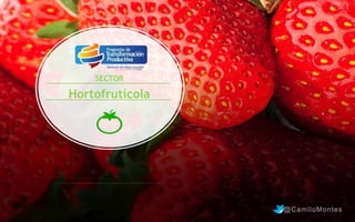 SECTOR

Hortofrutícola

@CamiloMontes

 