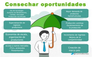 Consechar oportunidades
Uso de tecnología:
Aumento de Rendimientos,
Calidad, Inocuidad
Producción tecnificada

Mayor demanda de
productos
hortofrutícolas

Especialización de
regiones
productoras

Producción continua
Escalonamiento de
la producción

Economías de escala,
organización de
productores

Incremento de ingresos
Mejora de la
competitividad

Acceso a nuevos mercados
(TLCs, protocolos
fitosanitarios)

Creación de
marca país
@CamiloMontes

 