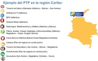 Ejemplo del PTP en la región Caribe:
Turismo de Salud y Bienestar (Atlántico – Bolívar – San Andres)
Software & TI (Atlántico)
BPO (Atlántico)
Sistema Moda (Atlántico)
Siderúrgico, Metalmecánico y Astillero (Atlántico y Bolívar)
Palma, Aceites Grasas Vegetales y Biocombustibles (Atlántico,
Magdalena – Cesar- Guajira- Bolívar)
Carne Bovina (Atlántico-Bolívar-Cesar-Magdalena-Córdoba)
Lácteos (Plan de negocio en construcción)
Turismo de Naturaleza ( San Andres – Bolívar – Magdalena)
Hortofrutícola (Plan de negocio en construcción)
Acuicultura (San Andres - Magdalena- Córdoba – Sucre)

 
