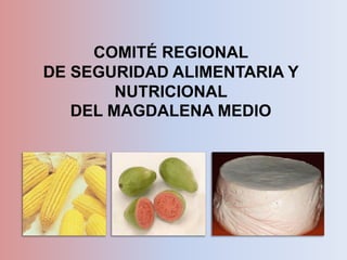 COMITÉ REGIONAL
DE SEGURIDAD ALIMENTARIA Y
        NUTRICIONAL
   DEL MAGDALENA MEDIO