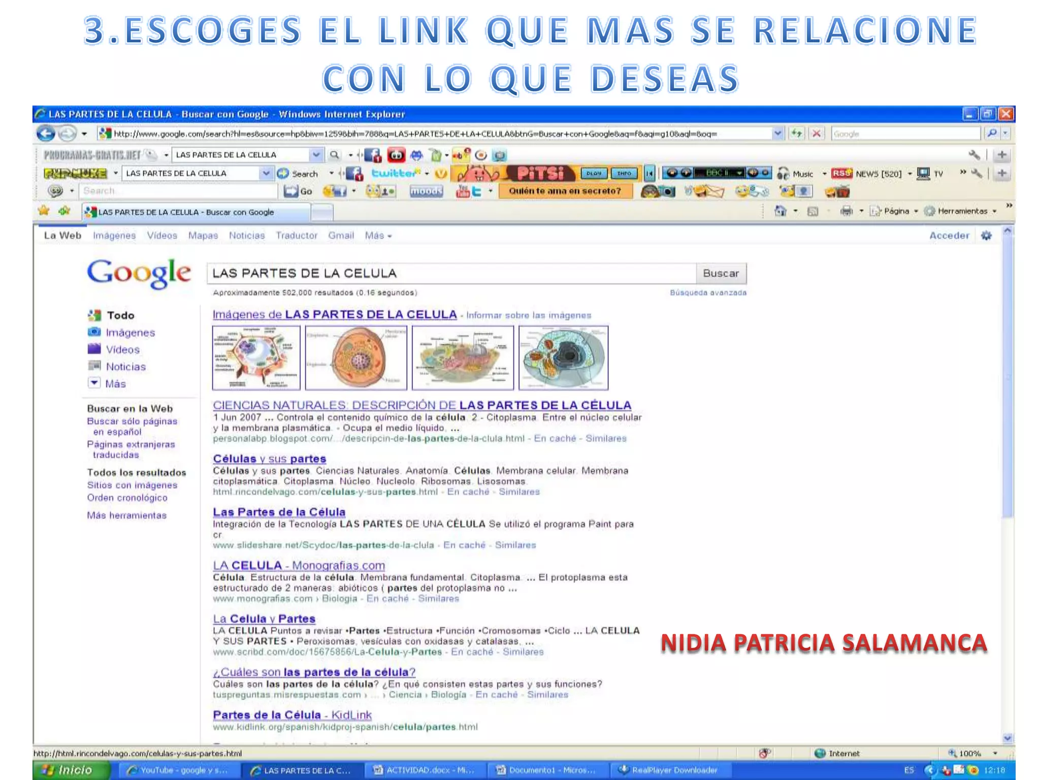3.ESCOGES EL LINK QUE MAS SE RELACIONE CON LO QUE DESEASNIDIA PATRICIA SALAMANCA