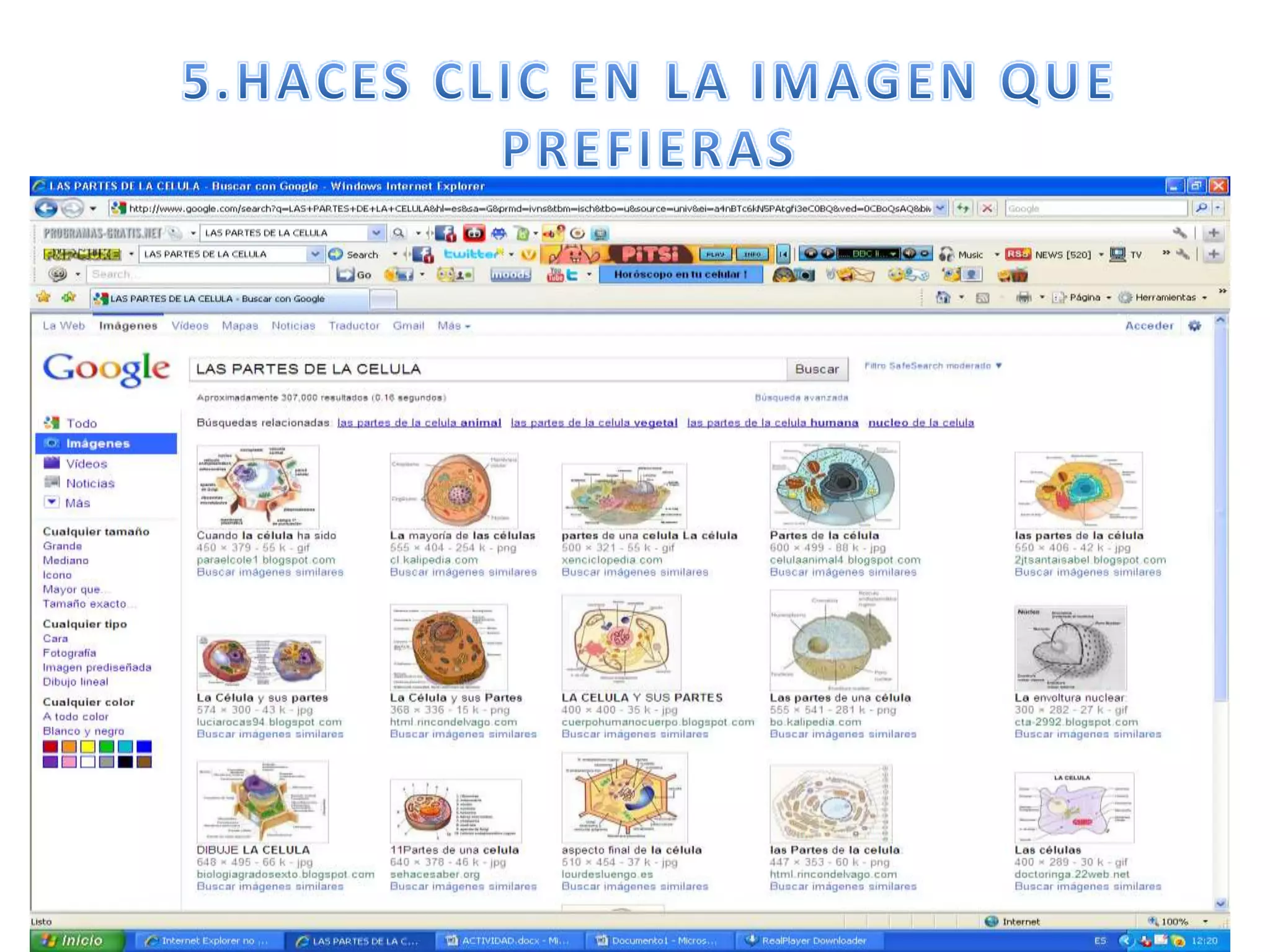 5.HACES CLIC EN LA IMAGEN QUE PREFIERAS