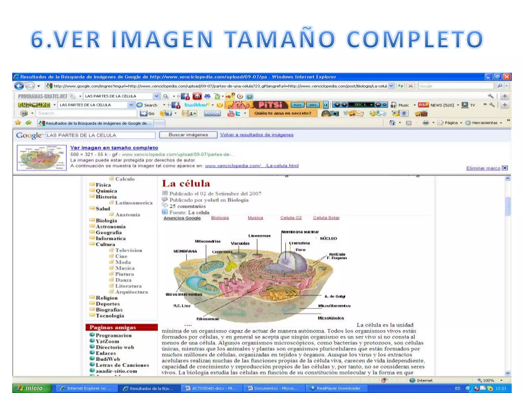 6.VER IMAGEN TAMAÑO COMPLETO