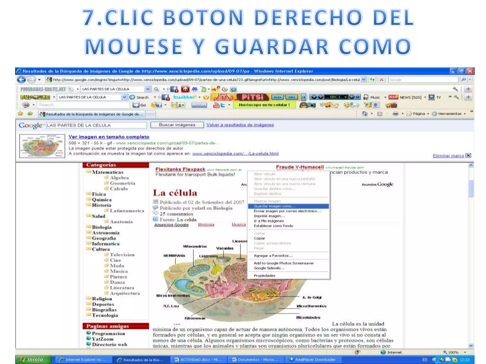 7.CLIC BOTON DERECHO DEL MOUESE Y GUARDAR COMO
