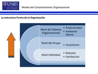 Oportunidades de acenso