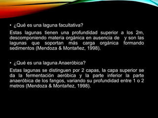 • ¿Qué es una laguna facultativa?
Estas lagunas tienen una profundidad superior a los 2m,
descomponiendo materia orgánica en ausencia de y son las
lagunas que soportan más carga orgánica formando
sedimentos (Mendoza & Montañez, 1998).
• ¿Qué es una laguna Anaeróbica?
Estas lagunas se distinguen por 2 capas, la capa superior se
da la fermentación aeróbica y la parte inferior la parte
anaeróbica de los fangos, variando su profundidad entre 1 o 2
metros (Mendoza & Montañez, 1998).
 