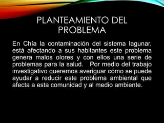 PLANTEAMIENTO DEL
PROBLEMA
En Chía la contaminación del sistema lagunar,
está afectando a sus habitantes este problema
genera malos olores y con ellos una serie de
problemas para la salud. Por medio del trabajo
investigativo queremos averiguar cómo se puede
ayudar a reducir este problema ambiental que
afecta a esta comunidad y al medio ambiente.
 