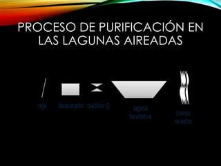 PROCESO DE PURIFICACIÓN EN
LAS LAGUNAS AIREADAS
 