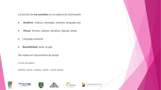 La función de los sentidos en la captura de información


Auditiva: música, mensajes, sonidos, lenguaje oral



Visual: formas, colores, tamaños, figuras, letras



Lenguaje corporal



Sensibilidad: tacto, la piel.

Ver videos en documentos de apoyo
Función del cerebro:

Identifica –tamiza – clasifica – decide – manda ordenes

 