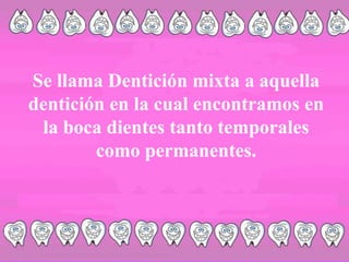  primer molar temporal superior