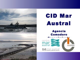 CID Mar Austral Agencia Comodoro Conocimiento 