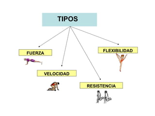 TIPOS

FUERZA

FLEXIBILIDAD

VELOCIDAD
RESISTENCIA

 