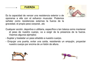 FUERZA
Es la capacidad de vencer una resistencia exterior o de
oponerse a ella con el esfuerzo muscular. Podemos
señalar como resistencias externas la fuerza de la
gravedad, el propio peso corporal...etc
Cualquier acción, deportiva o utilitaria, específica o tan básica como mantener
el peso de nuestro cuerpo, va a exigir de la presencia de la fuerza.
Veamos algunos ejemplos:
- Sujetar y trasladar un peso añadido a nuestro cuerpo.
- Empujar una puerta, evitar una caída, resistiendo un empujón, proyectar
nuestro cuerpo por encima de un listón de altura.

 