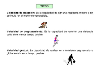 TIPOS
Velocidad de Reacción: Es la capacidad de dar una respuesta motora a un
estímulo en el menor tiempo posible.

Velocidad de desplazamiento. Es la capacidad de recorrer una distancia
corta en el menor tiempo posible.

Velocidad gestual: La capacidad de realizar un movimiento segmentario o
global en el menor tiempo posible.

 