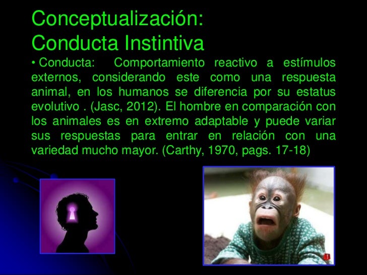 Presentacion conducta instintiva