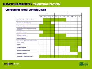 FUNCIONAMIENTO Y TEMPORALIZACIÓN
 Cronograma anual Conecta Joven
 