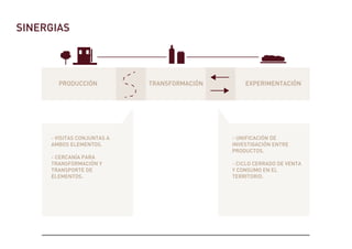 SINERGIAS
PRODUCCIÓN TRANSFORMACIÓN EXPERIMENTACIÓN
- VISITAS CONJUNTAS A
AMBOS ELEMENTOS.
- CERCANÍA PARA
TRANSFORMACIÓN Y
TRANSPORTE DE
ELEMENTOS.
- UNIFICACIÓN DE
INVESTIGACIÓN ENTRE
PRODUCTOS.
- CICLO CERRADO DE VENTA
Y CONSUMO EN EL
TERRITORIO.
 