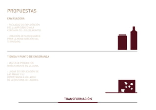 PROPUESTAS
ENVASADORA
TIENDA Y PUNTO DE ENSEÑANZA
TRANSFORMACIÓN
- FACILIDAD DE EXPLOTACIÓN
DEL LUGAR DEBIDO A LA
CERCANÍA DE LOS ELEMENTOS.
- CREACIÓN DE NUEVA MARCA
PARA LA MONETIZACIÓN DEL
TERRITORIO.
- VENTA DE PRODUCTOS
DIRÉCTAMENTE EN LA ZONA.
- LUGAR DE EXPLICACIÓN DE
LAS MINAS Y SU
IMPORTANCIA A LO LARGO
DE LA HISTORIA DE LINARES.
 