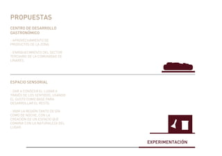 EXPERIMENTACIÓN
PROPUESTAS
CENTRO DE DESARROLLO
GASTRONÓMICO
ESPACIO SENSORIAL
- APROVECHAMIENTO DE
PRODUCTOS DE LA ZONA
- ENRIQUECIMIENTO DEL SECTOR
TERCIARIO DE LA COMUNIDAD DE
LINARES.
- DAR A CONOCER EL LUGAR A
TRAVÉS DE LOS SENTIDOS, USANDO
EL GUSTO COMO BASE PARA
DESARROLLAR EL RESTO.
- VIVIR LA REGIÓN TANTO DE DÍA
COMO DE NOCHE, CON LA
CREACIÓN DE UN ESPACIO QUE
CONVIVA CON LA NATURALEZA DEL
LUGAR.
 