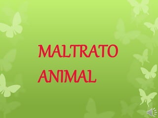 MALTRATO 
ANIMAL 
 