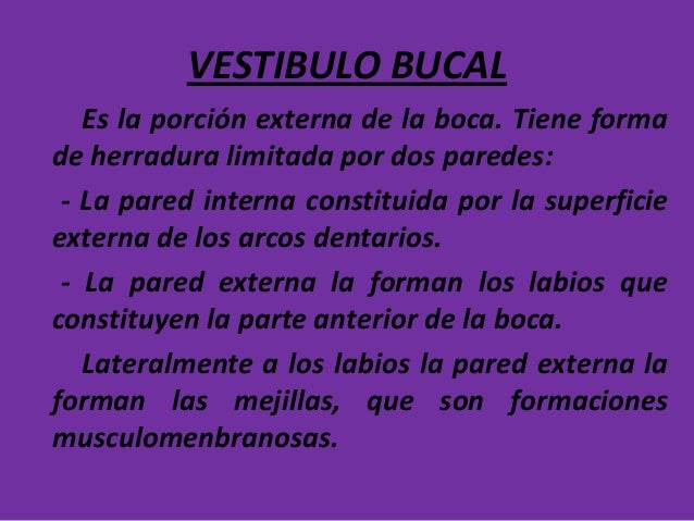 vestibulo oral que es presentacion constitucion anatomica de la boca vestibulo oral que es presentacion constitucion anatomica de la boca