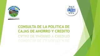 CONSULTA DE LA POLITICA DE 
CAJAS DE AHORRO Y CREDITO 
 