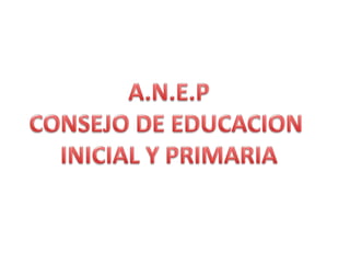 A.N.E.P CONSEJO DE EDUCACION  INICIAL Y PRIMARIA 
