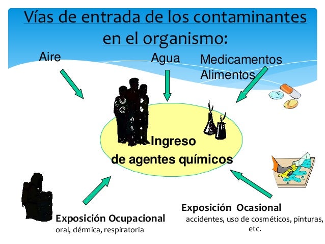 Presentación Contaminantes Ambientales