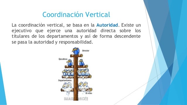 Coordinación - Proceso Administrativo