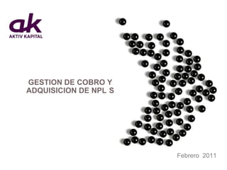 GESTION DE COBRO Y ADQUISICION DE NPL´S Febrero  2011 