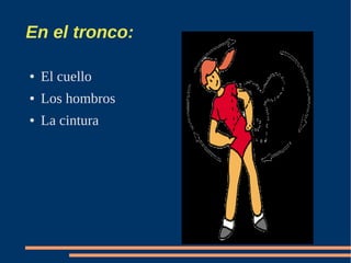 En el tronco:

●   El cuello
●   Los hombros
●   La cintura
 