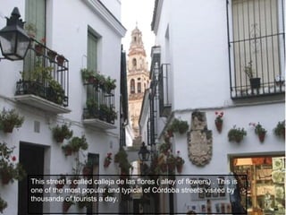 This street is called calleja de las flores ( alley of flowers) . This is
one of the most popular and typical of Córdoba streets visited by
thousands of tourists a day.
 