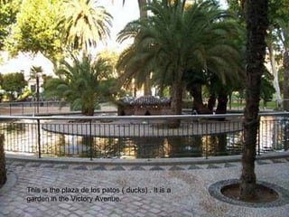 This is the plaza de los patos ( ducks) . It is a
garden in the Victory Avenue.
 