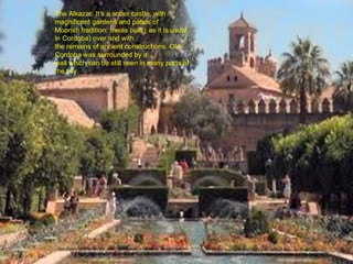 The Alkazar: It’s a sober castle, with
magnificent gardens and patios of
Moorish tradition. It was built ( as it is usual
in Cordoba) over and with
the remains of ancient constructions. Old
Cordoba was surrounded by a
wall which can be still seen in many parts of
the city.
 