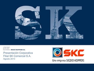 Asesores Financieros
Presentación Corporativa
Filial SK Comercial S.A.
Agosto 2013
 