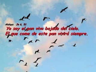 Aleluya Jn 6, 51
Yo soy el pan vivo bajado del cielo.
El que come de este pan vivirá siempre.
 
