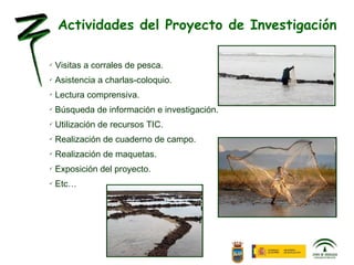 Actividades del Proyecto de Investigación Visitas a corrales de pesca. Asistencia a charlas-coloquio. Lectura comprensiva. Búsqueda de información e investigación. Utilización de recursos TIC. Realización de cuaderno de campo. Realización de maquetas. Exposición del proyecto. Etc… 