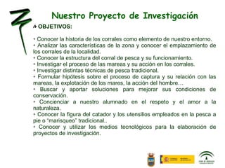 OBJETIVOS: Conocer la historia de los corrales como elemento de nuestro entorno. Analizar las características de la zona y conocer el emplazamiento de los corrales de la localidad. Conocer la estructura del corral de pesca y su funcionamiento. Investigar el proceso de las mareas y su acción en los corrales. Investigar distintas técnicas de pesca tradicional. Formular hipótesis sobre el proceso de captura y su relación con las mareas, la explotación de los mares, la acción del hombre… Buscar y aportar soluciones para mejorar sus condiciones de conservación. Concienciar a nuestro alumnado en el respeto y el amor a la naturaleza. Conocer la figura del catador y los utensilios empleados en la pesca a pie o “marisqueo” tradicional.. Conocer y utilizar los medios tecnológicos para la elaboración de proyectos de investigación. Nuestro Proyecto de Investigación 