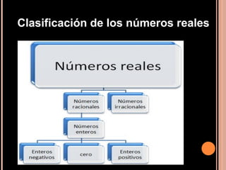 Clasificación de los números reales 