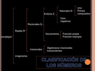 complejos Reales R Racionales Q imaginarios irracionales Enteros Z Naturales N Cero negativos Uno Primos compuestos fraccionarios Fracción propia Fracción impropia Algebraicos irracionales trascendentes 