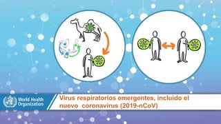 Virus respiratorios emergentes, incluido el
nuevo coronavirus (2019-nCoV)
 